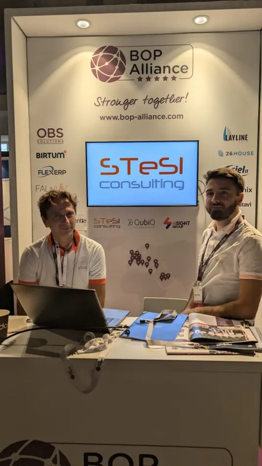 SteSi Consulting Team 3