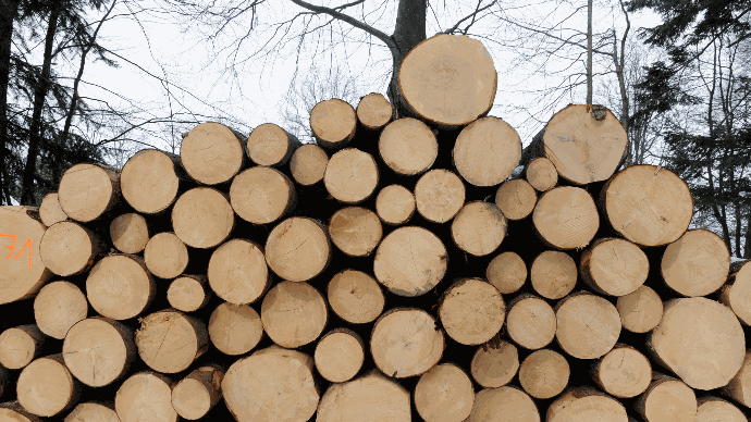Timber Solution Timber Solution